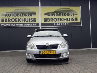 Sloopauto Skoda Fabia Fabia II Combi, Combi 5-drs, 2007 / 2014 1.2 TDI 12V Greenline 2010/7