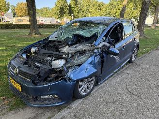 Avarii autoturisme Volkswagen   2017/1