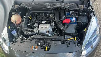 Ford Fiesta  picture 20