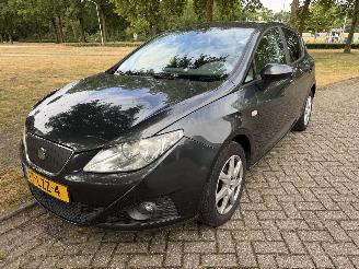 škoda osobní automobily Seat Ibiza  2010/1