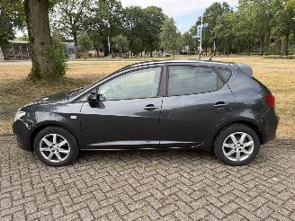 Seat Ibiza  picture 2