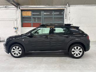 Citroën C4 cactus 1.2 PureTech 82 12V Hatchback 4Dr Benzine 1.199cc 60kW (82pk) FWD picture 2