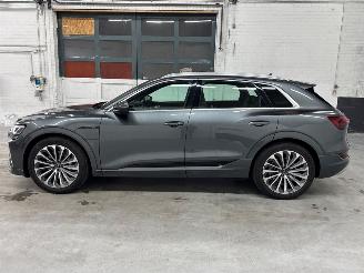 Audi E-tron 55 quattro 3x s-line SUV  Elektrisch  300kW (408pk) 4x4 2018-09/2023-07  EASA; EAWA picture 2