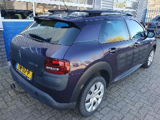 Citroën C4 cactus 1.2 PureTech Business picture 5