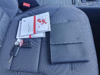 Volkswagen e-Golf  picture 21