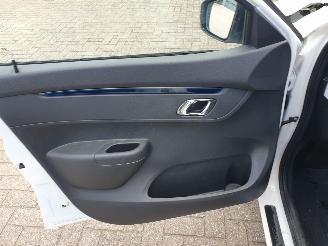 Dacia Spring Business 27 kWh picture 12