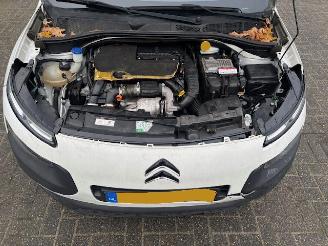 Citroën C4 cactus 1.6 HDI  Pano Business Plus picture 9