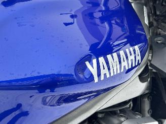 Yamaha FZS 1000 Fazer picture 9