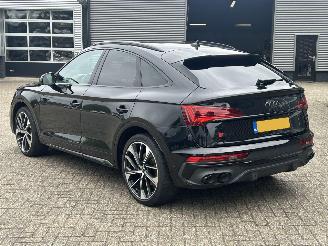 Audi SQ5 Sportback 3.0 TDI SQ5 Quattro picture 3