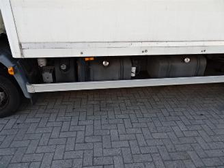 DAF FA 45 LF45G08 daf lf 45g08 6 meterbak met laadklep picture 24