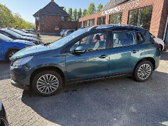 Peugeot 2008 1.2 PureTech AUTOMAAT PANORAMDAK  Blue Lion (SUV 5-dr.) picture 33