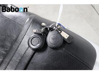 Harley-Davidson  VRSCF V-ROD Muscle picture 23