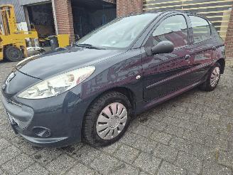 Peugeot 206+ 1.4 Miiesim 200 picture 5
