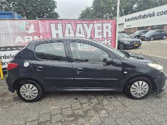 Peugeot 206+ 1.4 Miiesim 200 picture 2