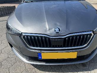 Skoda Scala 1.0 TSI Business Edition picture 10