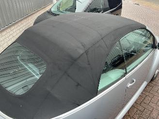 Volkswagen Beetle Cabriolet 1.6 Trendline picture 8