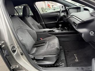 Lexus UX 250h Preference Line picture 16