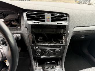 Volkswagen e-Golf E-DITION picture 17