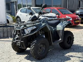 dañado otros Kymco  QUAD MX4300 2024/11