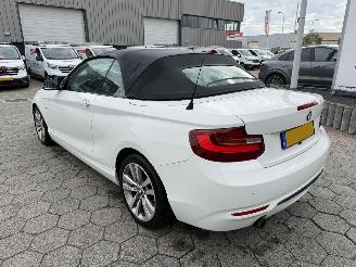 BMW 2-serie Cabrio 218i picture 7