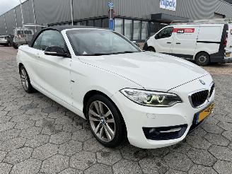 BMW 2-serie Cabrio 218i picture 4