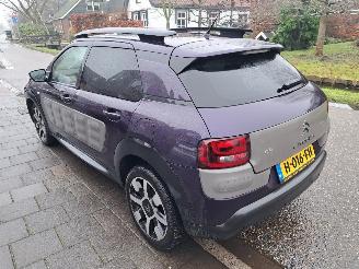 Citroën C4 cactus 1.2i picture 4