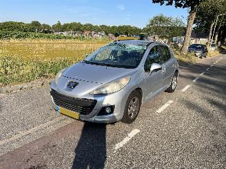 Peugeot 207 1.4-16V picture 2