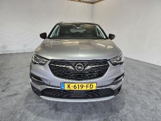 Opel Grandland X picture 2