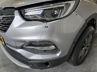 Opel Grandland X picture 10