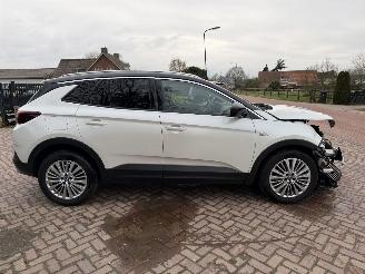 Opel Grandland X 1.2 Turbo Business Executive picture 5