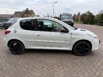 Peugeot 206+ 1.4 Millesim 200 picture 7