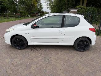 Peugeot 206+ 1.4 Millesim 200 picture 2