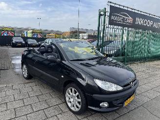 Peugeot 206 2.0 16V cabriolet picture 3