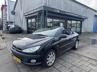 Avarii autoturisme Peugeot 206 2.0 16V cabriolet 2002/1