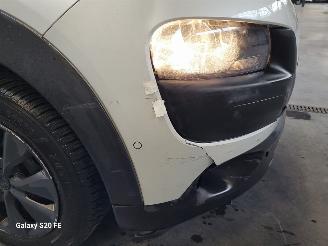 Citroën C4 cactus BLUE 1.6 HDi 73-KW Panoramadak picture 6