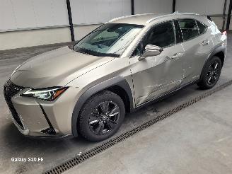 skadebil auto Lexus UX 250h Hybrid 2.0 112-KW Automaat Luxury 2021/2