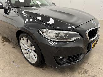 BMW 2-serie Cabrio 220d Autom. M-sport Navi Clima picture 15
