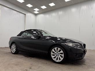 BMW 2-serie Cabrio 220d Autom. M-sport Navi Clima picture 3