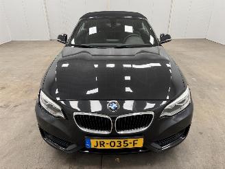 BMW 2-serie Cabrio 220d Autom. M-sport Navi Clima picture 7