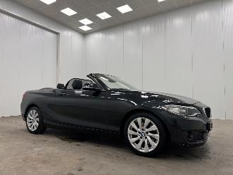 škoda osobní automobily BMW 2-serie Cabrio 220d Autom. M-sport Navi Clima 2015/4