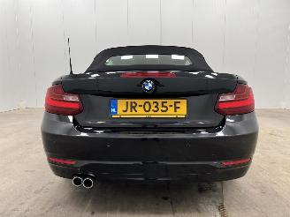 BMW 2-serie Cabrio 220d Autom. M-sport Navi Clima picture 8