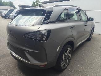 Hyundai Nexo (120kW) | Storing brandstofcel picture 3