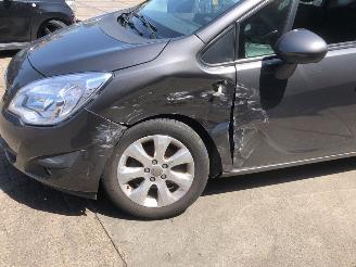 Opel Meriva  picture 1