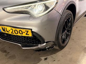 Alfa Romeo Stelvio 2.0 T AWD Super Business Edition Q4 picture 9