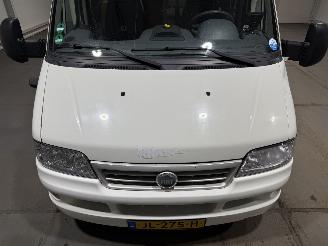 Fiat Camper 2.8D 94kW Luifel Douche WC Keuken picture 24