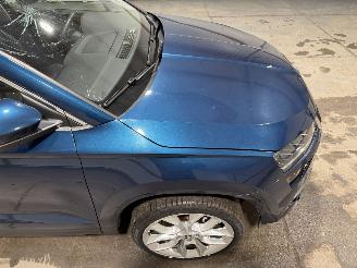 Skoda Karoq 1.5TSI 110kW Automaat ACT Business Edition picture 19