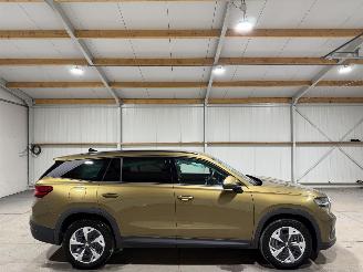 Schadeauto Skoda Kodiaq 1.5TSI PHEV 110kW Business Edition 2025/4