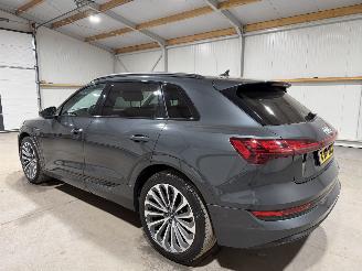Audi E-tron 55 95kWh 300kW Quattro Business Edition luchtvering picture 11