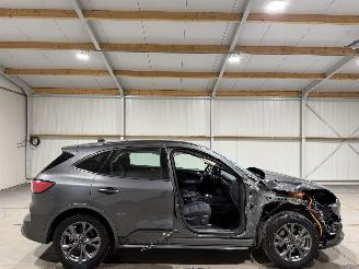 škoda osobní automobily Ford Kuga 2.5PHEV 112kW Automaat Vignale 2021/3