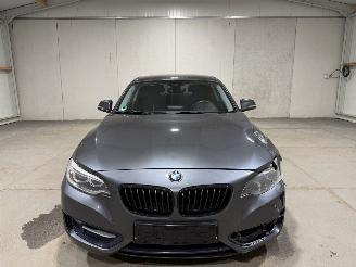 BMW 2-serie 220D Coupe 135kW Automaat Clima picture 4
